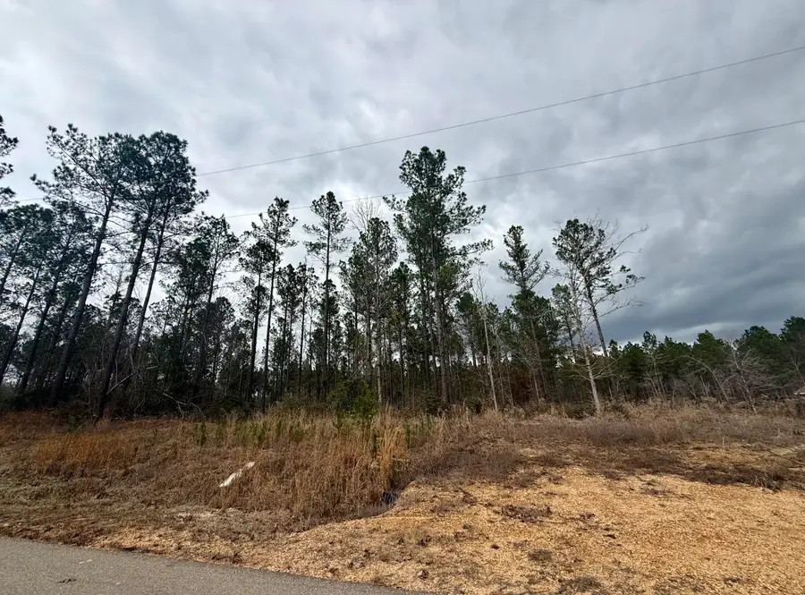 49 Stuart, Sumrall, MS 39482 - #2