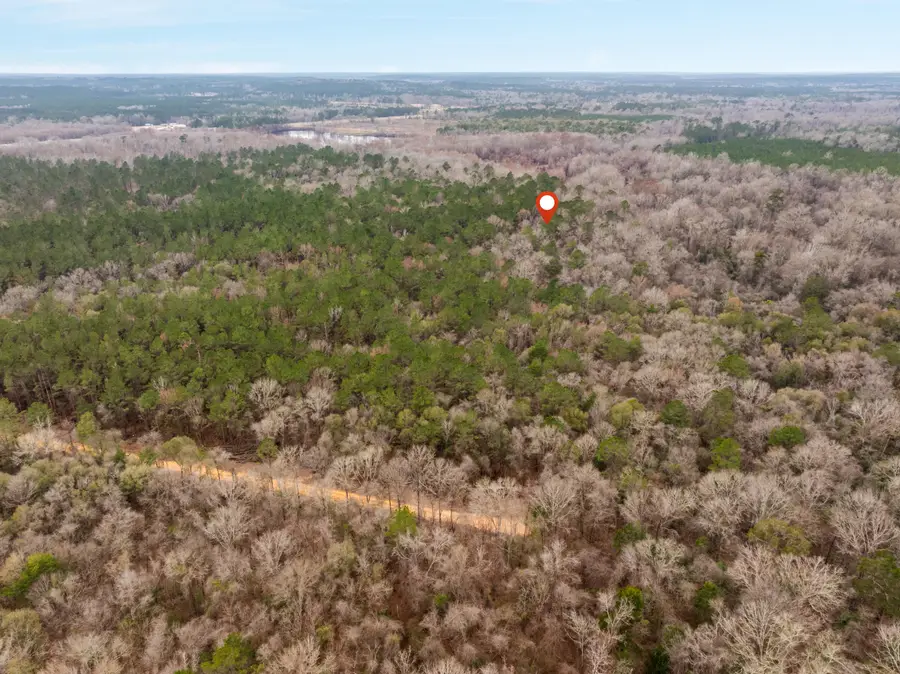 40 Mol Ac Old Hwy 24, Mc Lain, MS 39456 - #3