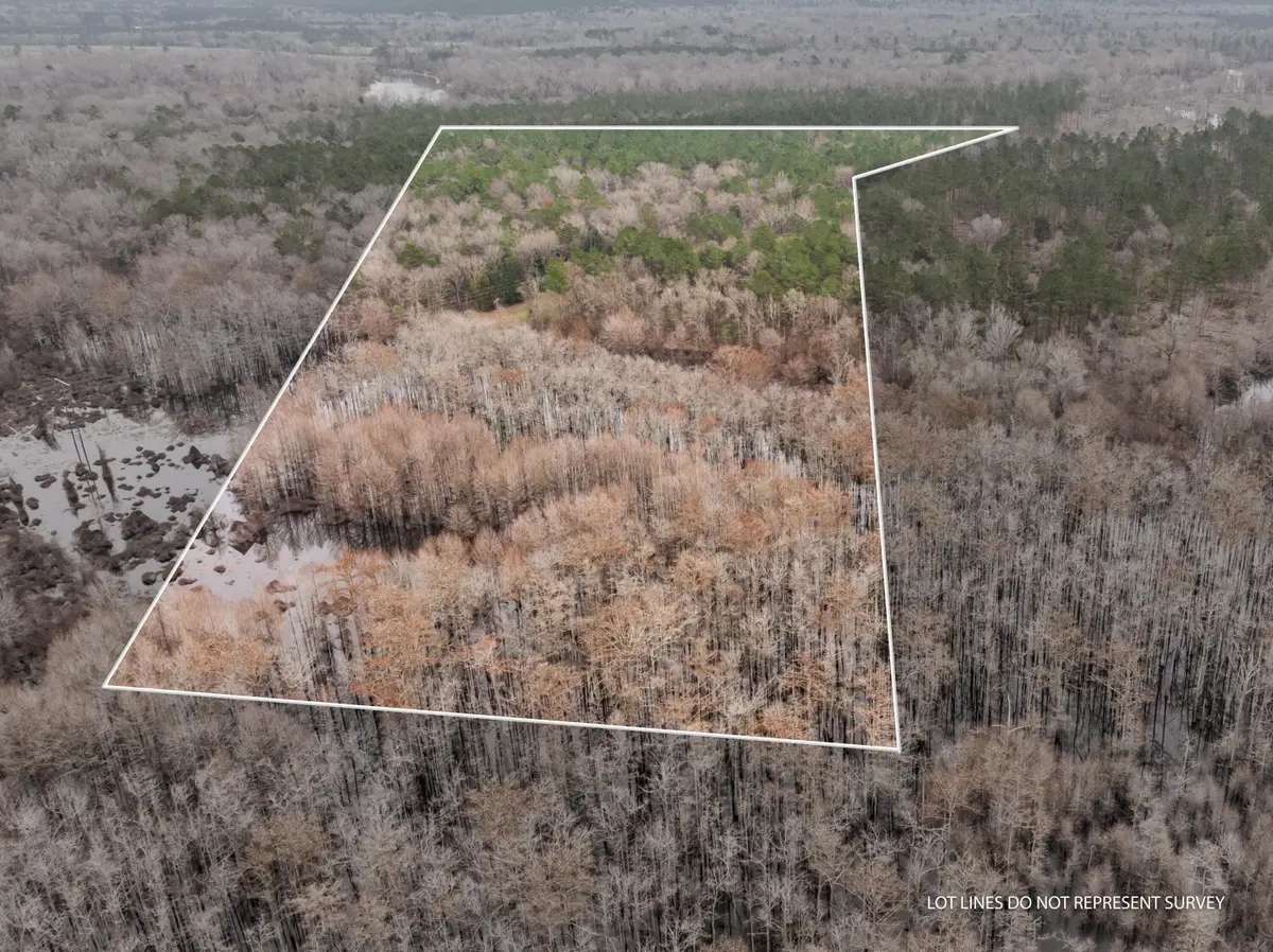 53 Mol Ac Old Hwy 24, Mc Lain, MS 39456 - #1