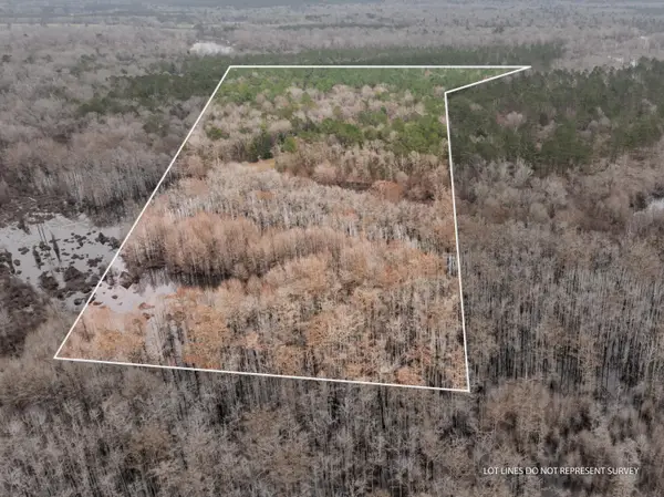 53 Mol Ac Old Hwy 24, Mc Lain, MS 39456