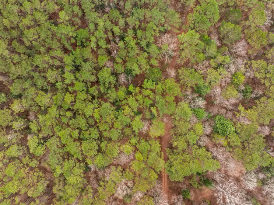 53 Mol Ac Old Hwy 24, Mc Lain, MS 39456 - #2