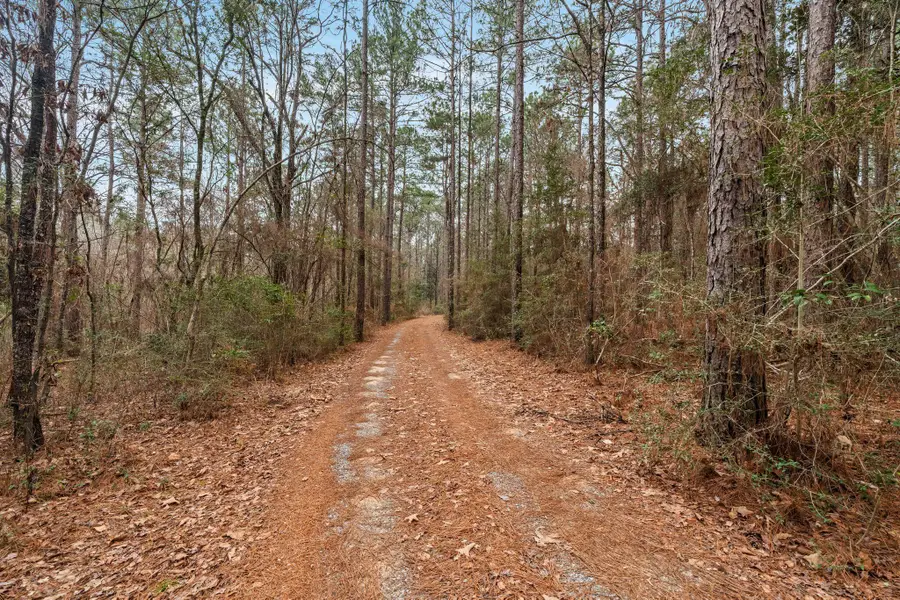 105 Old Salt, Sumrall, MS 39482 - #3