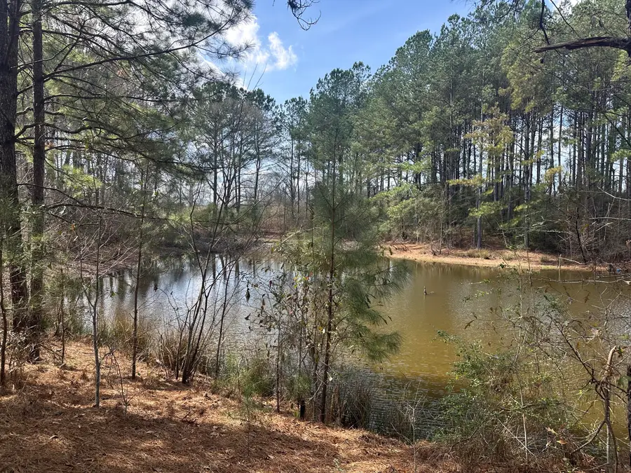 00 Hurricane Creek Rd., Lumberton, MS 39455 - #3