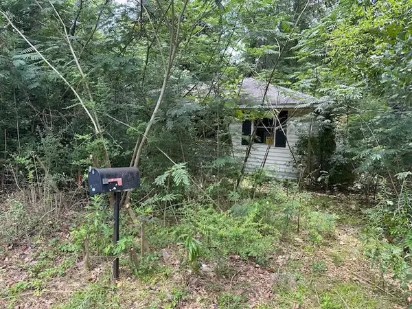 15 B&o Thompson Rd., Lumberton, MS 39455