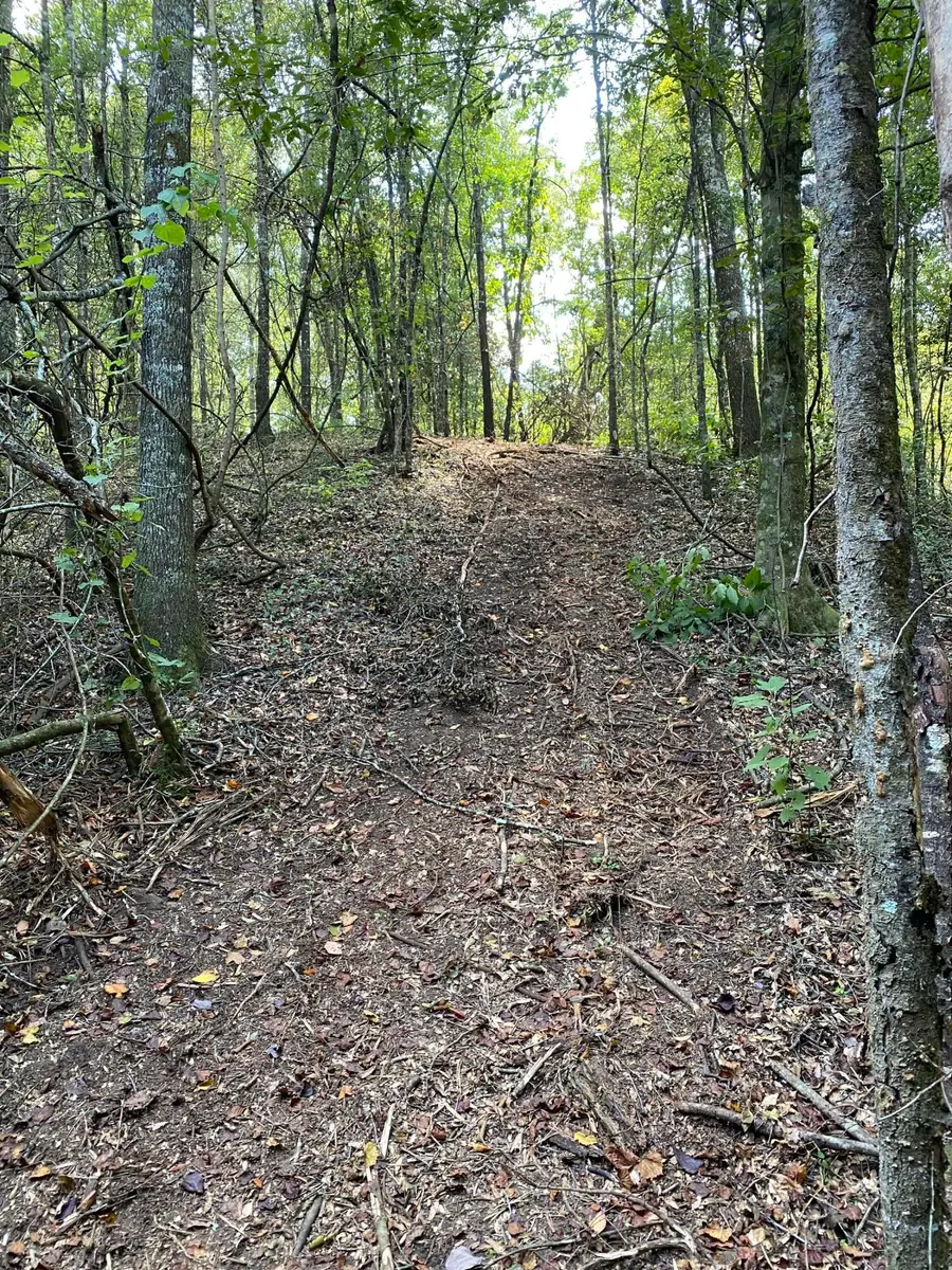 9.97 MOL Leaf River Church Rd., Collins, MS 39428 - #2