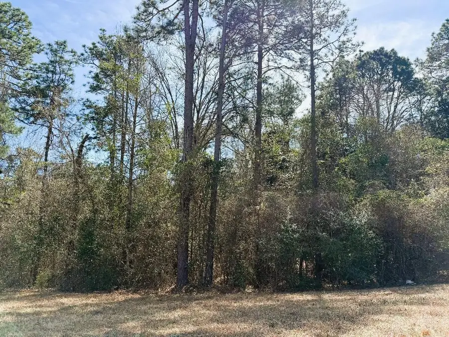 00000 Hwy 589, Purvis, MS 39475 - #2