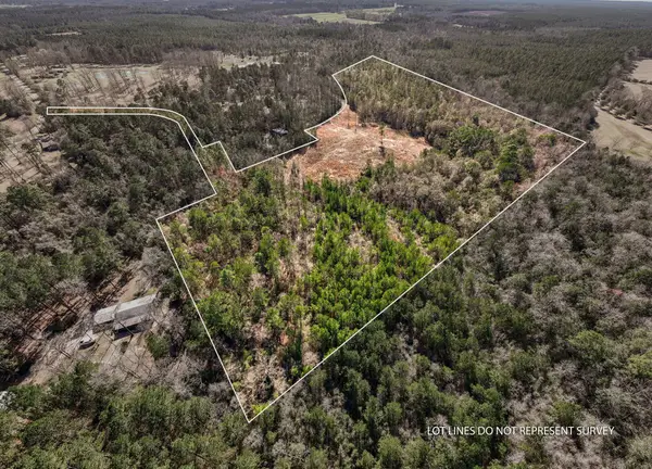 25 acres Boggy Hollow Rd., Purvis, MS 39475