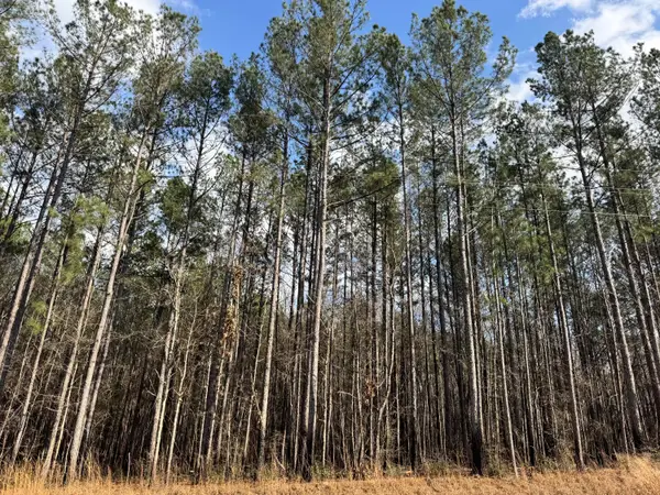 24.88AC Epley, Sumrall, MS 39482