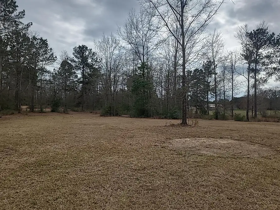 118 Grayson, Mendenhall, MS 39114 - #3