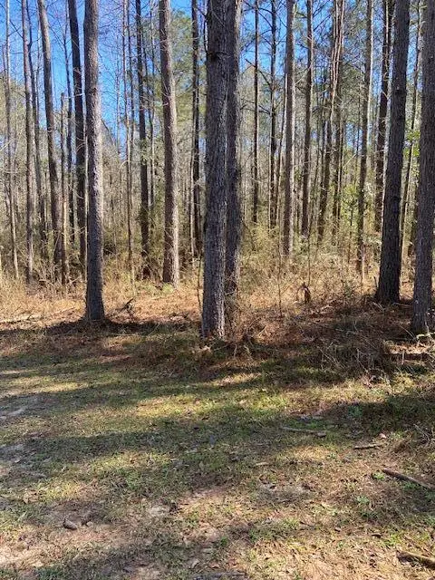 00 Oral Church Rd., Sumrall, MS 39482 - #2