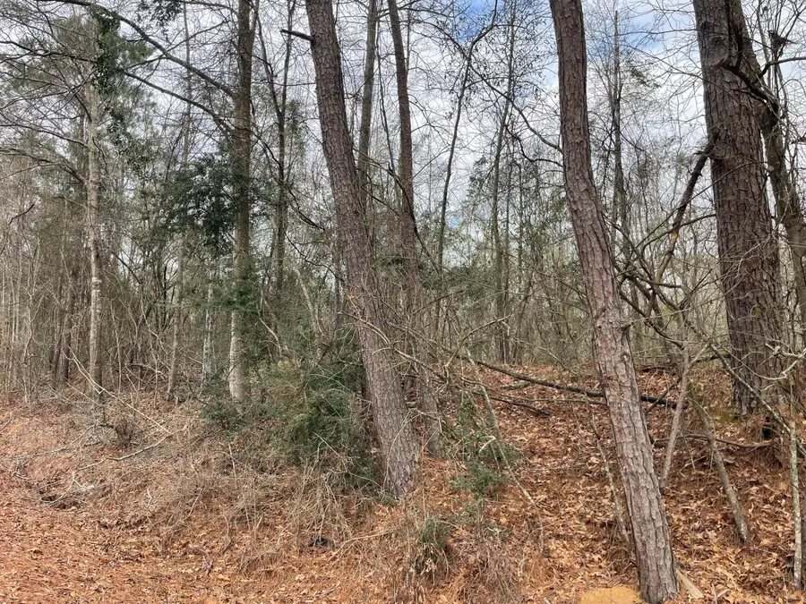 TBD Craft Rd/ Us 49, Magee, MS 39111 - #3