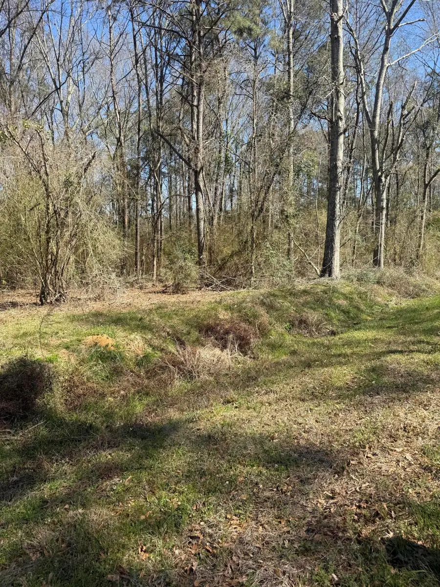 4.9 Acr Morgantown Rd., Foxworth, MS 39483 - #2