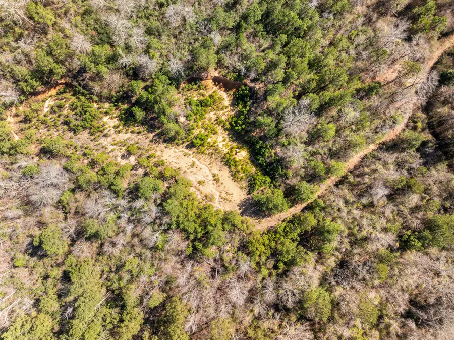 0 Mcduffey Ln., Newhebron, MS 39140 - #2