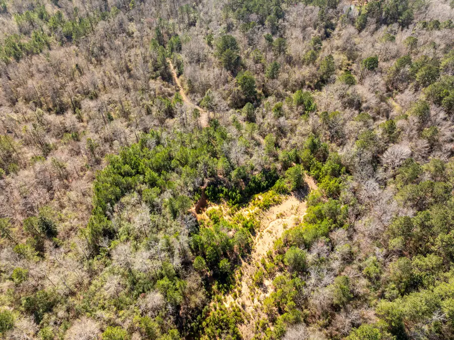 0 Mcduffey Ln., Newhebron, MS 39140 - #3