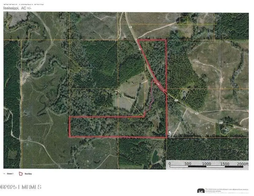 301 Co Rd 31, Heidelberg, MS 39439 - #2