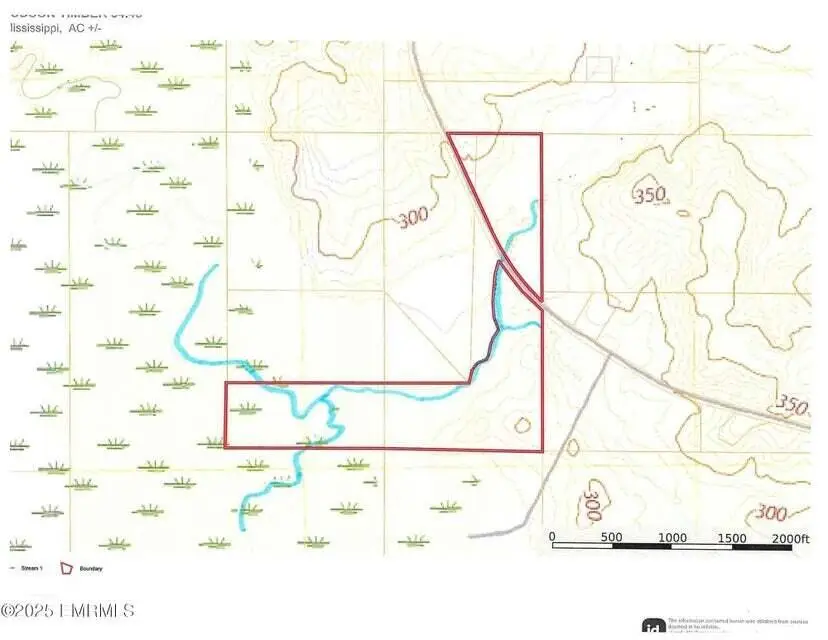 301 Co Rd 31, Heidelberg, MS 39439 - #3