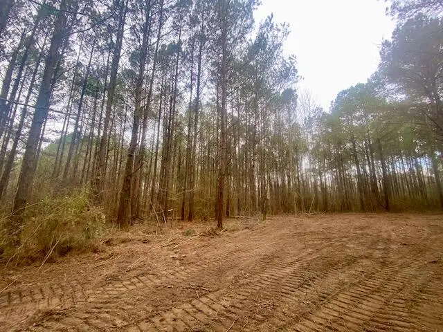 0 Crawley, Columbia, MS 39429 - #2