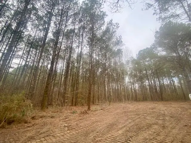 0 Crawley, Columbia, MS 39429 - #3