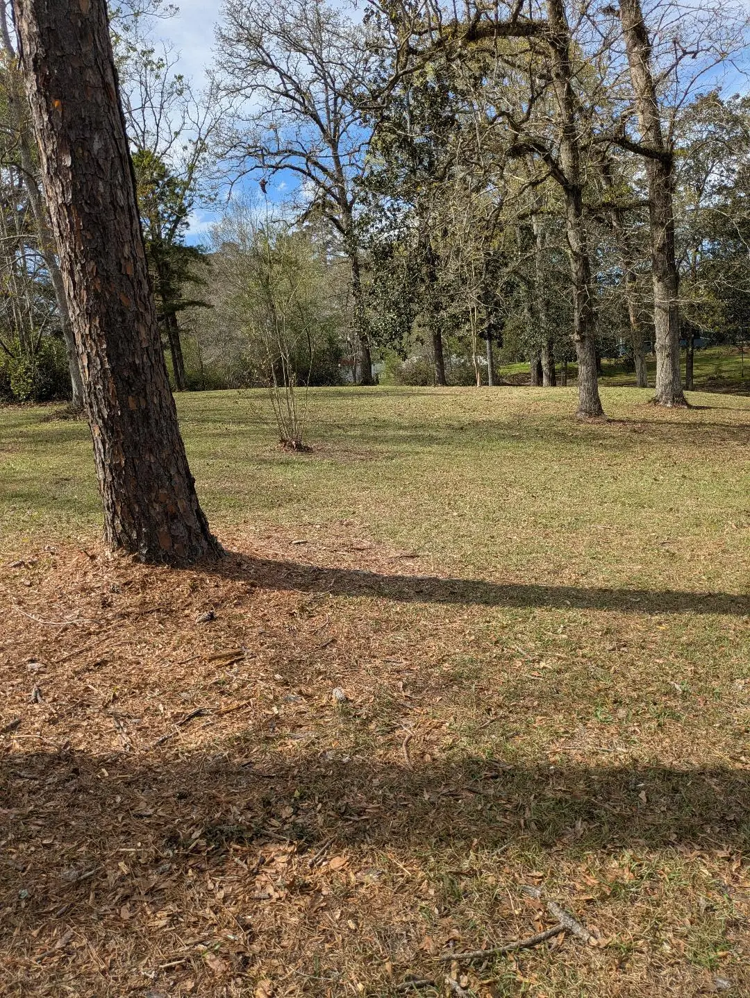 000 Corner Broad And Briarwood, Columbia, MS 39429 - #1