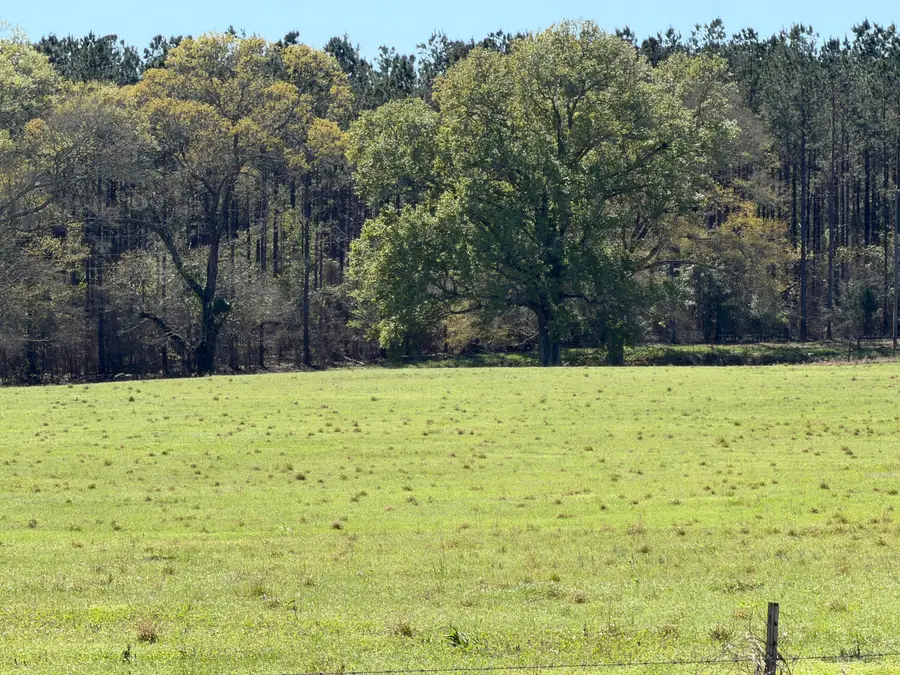 11.32 Acre Magnolia Rd, Perkinston, MS 39573 - #2