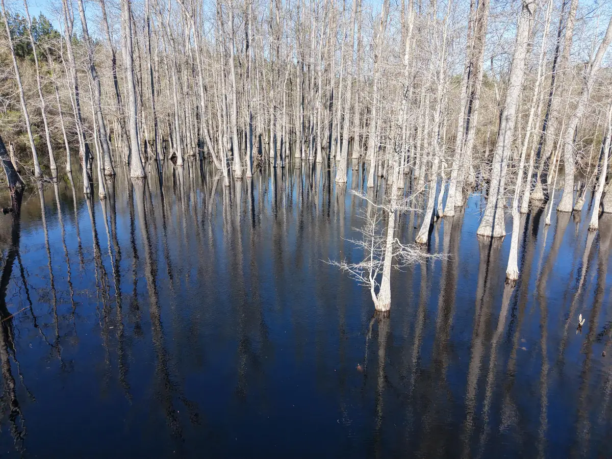 0 Macedonia Rd., Petal, MS 39465 - #1