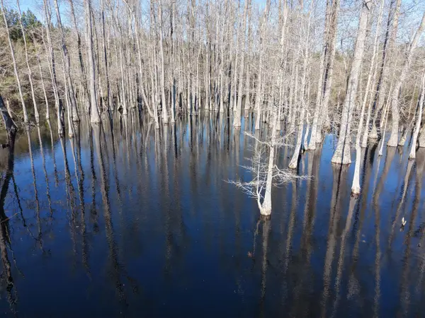 0 Macedonia Rd., Petal, MS 39465