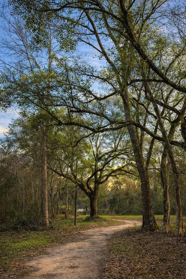 14 Acres F Z Goss, Picayune, MS 39466