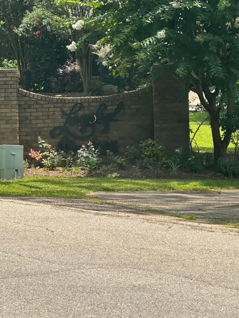 0 Longleaf Dr., Petal, MS 39465 - #1