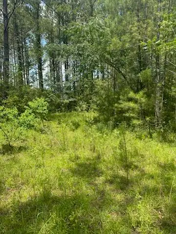 00 Longleaf Dr., Petal, MS 39465 - #2