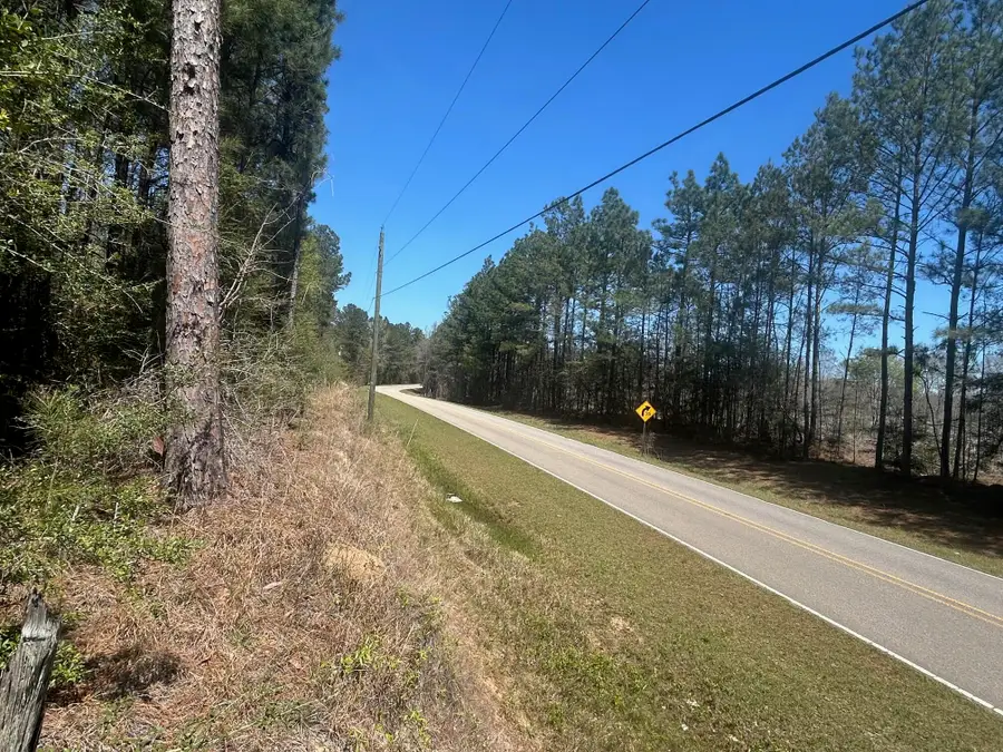 00 Old Highway 11, Lumberton, MS 39455 - #2