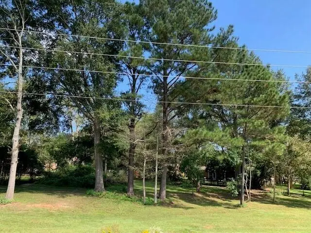 00 Highway 589, Purvis, MS 39475 - #3