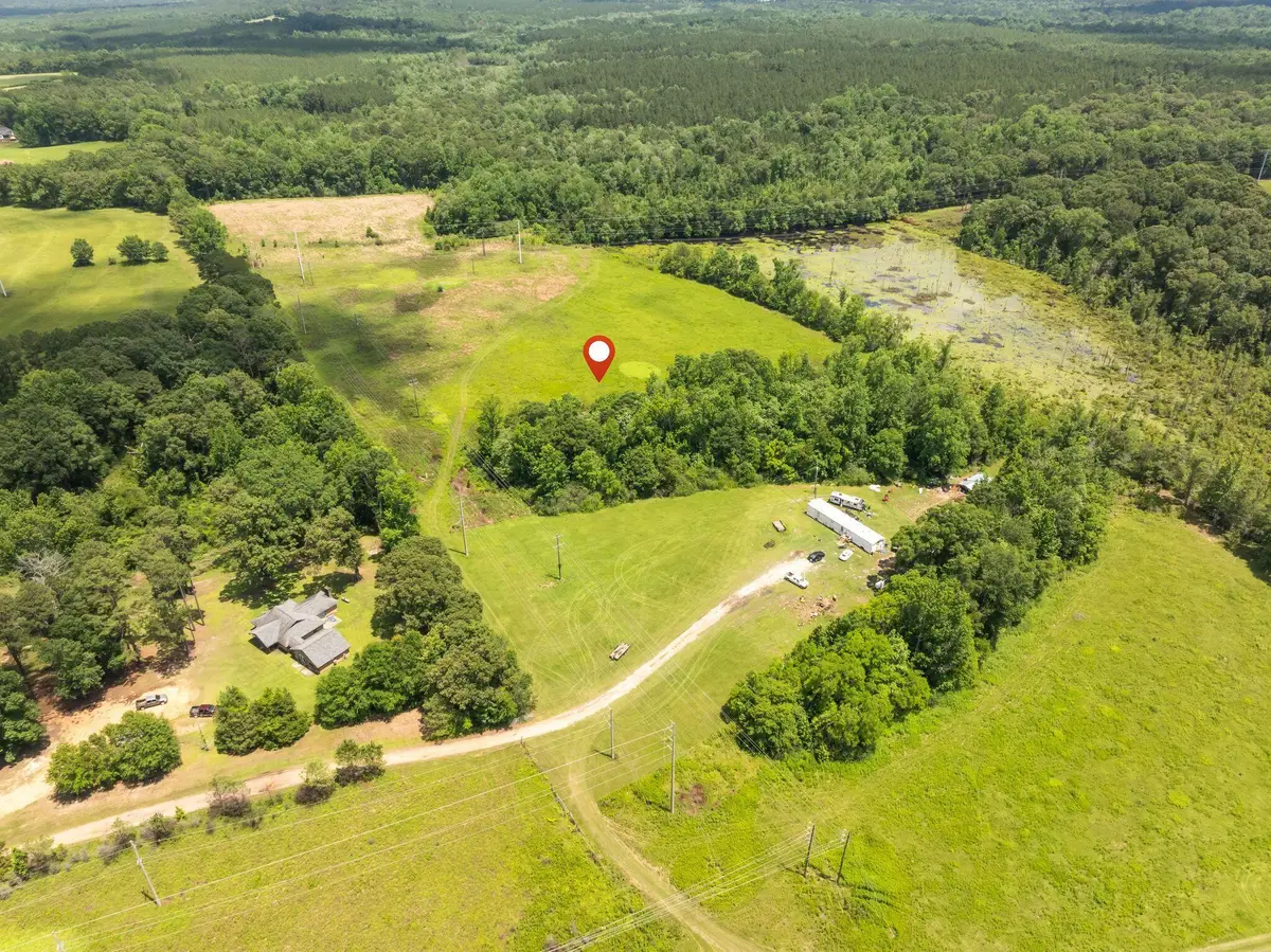 144 Acres J Barnes, Purvis, MS 39475 - #1