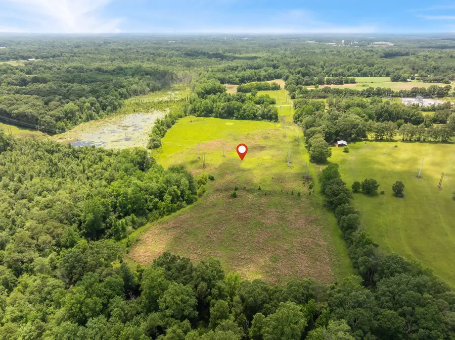 144 Acres J Barnes, Purvis, MS 39475 - #2