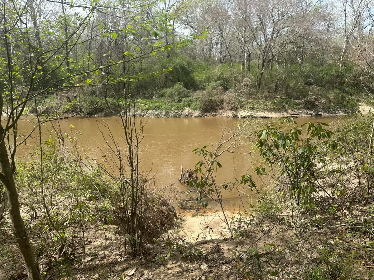 0B Riverwood Blvd., Hattiesburg, MS 39401 - #1