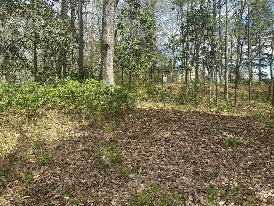 0B Riverwood Blvd., Hattiesburg, MS 39401 - #3