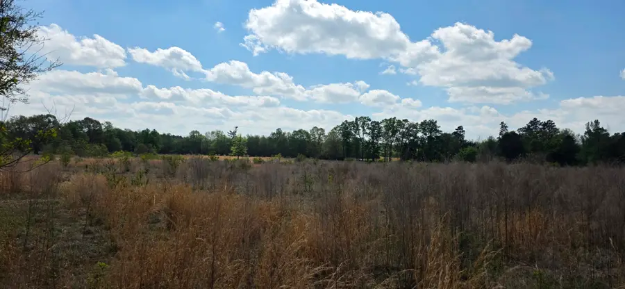 0 Butler Rd., Petal, MS 39465 - #2