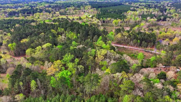 0 Harrisville Braxton, Braxton, MS 39044