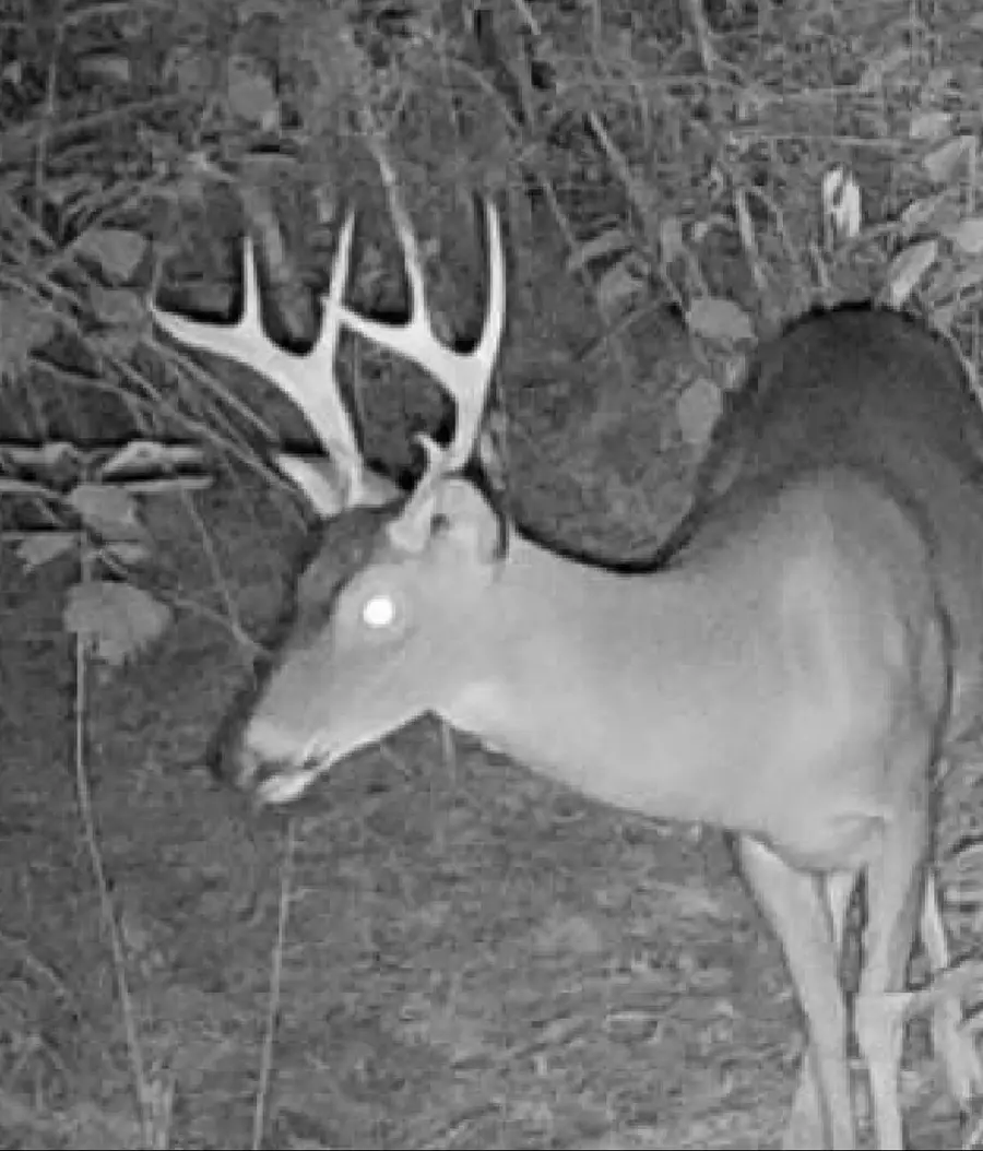 0 86 Acres (mol) James & Ralston, Hattiesburg, MS 39401 - #2