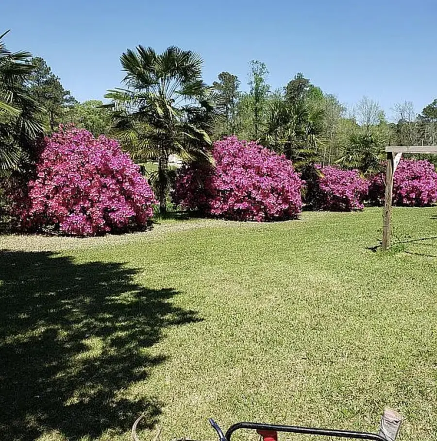 54 Welborn Rd., Laurel, MS 39443 - #3