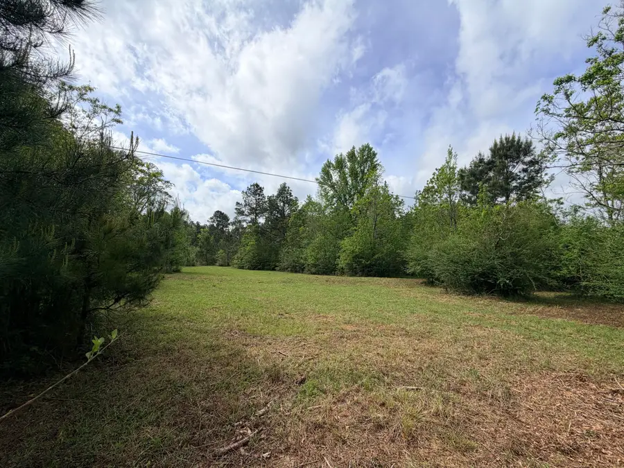 121 J M Burge Rd., Hattiesburg, MS 39402 - #3