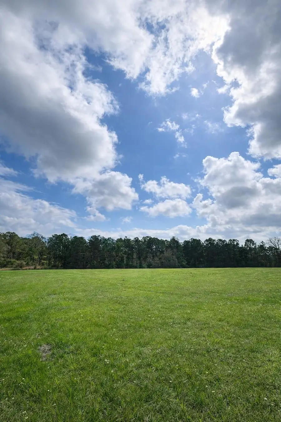 30 Acres Hwy 13, Lumberton, MS 39455 - #2