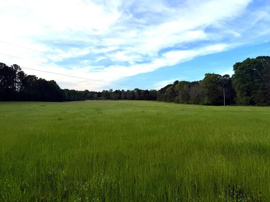 36 Acres Hwy 13, Lumberton, MS 39455 - #2