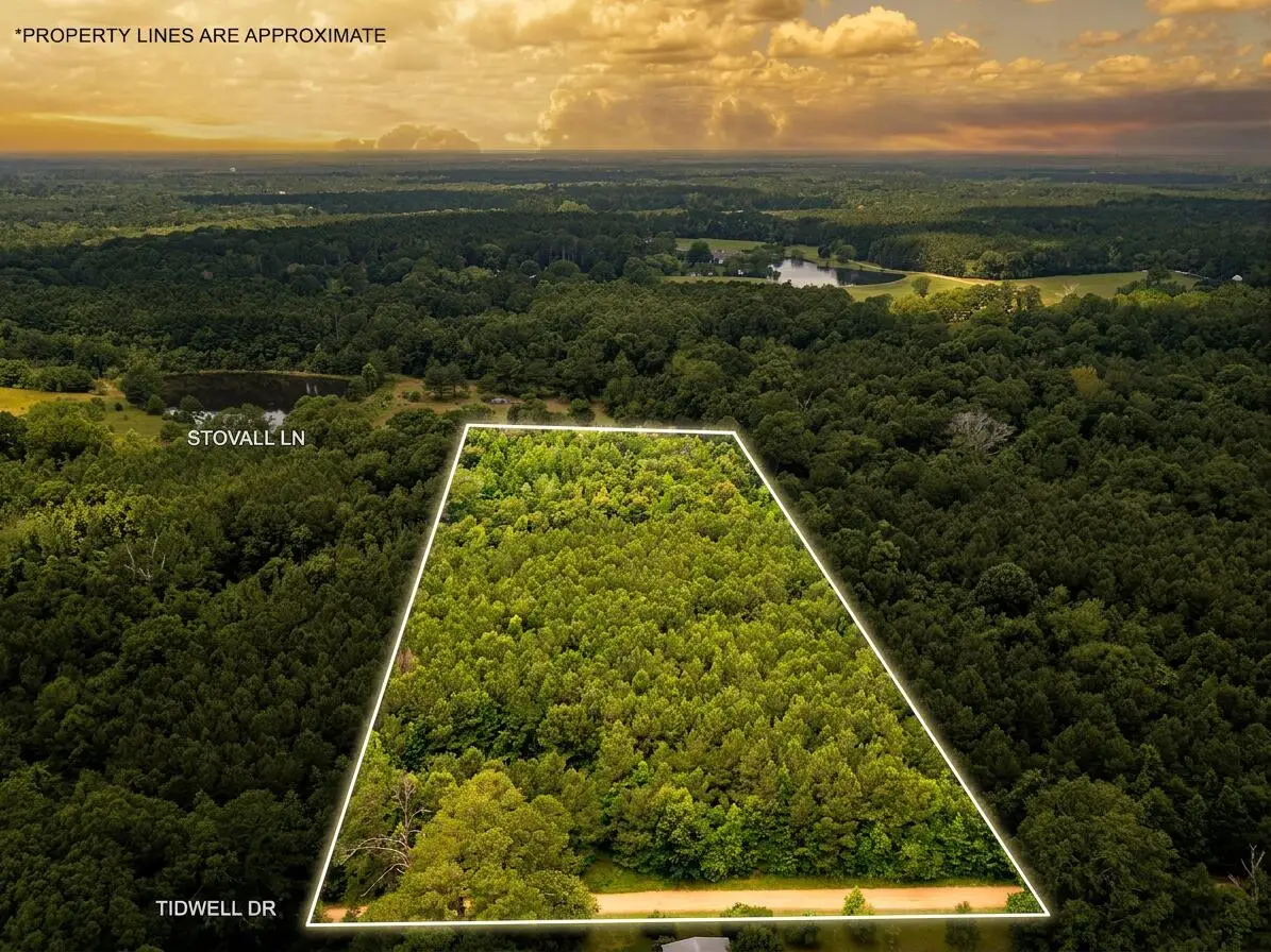 Parcel 3 Stovall Ln., Summit, MS 39666 - #1