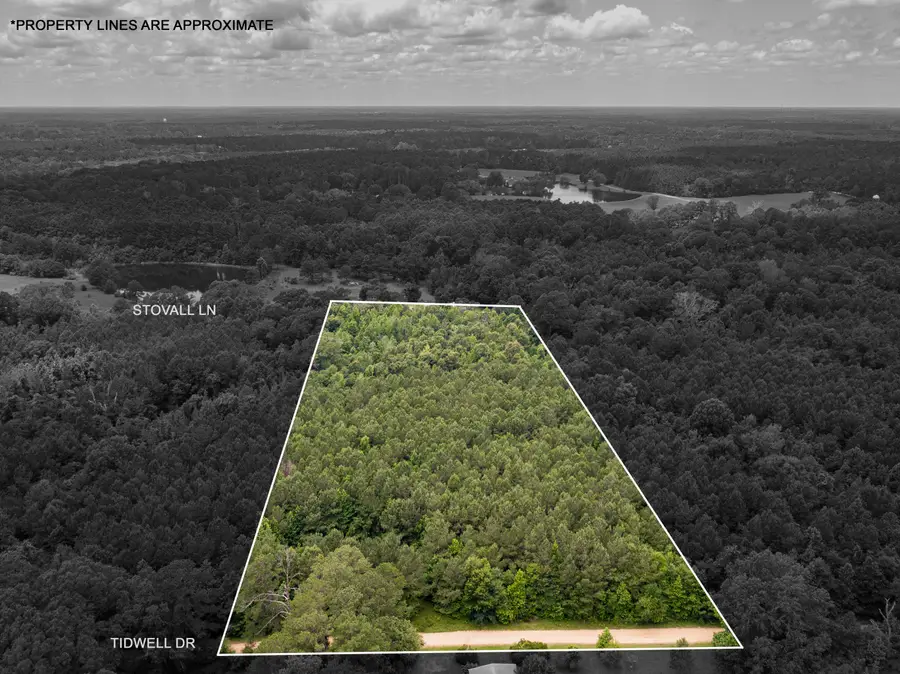 Parcel 3 Stovall Ln., Summit, MS 39666 - #2