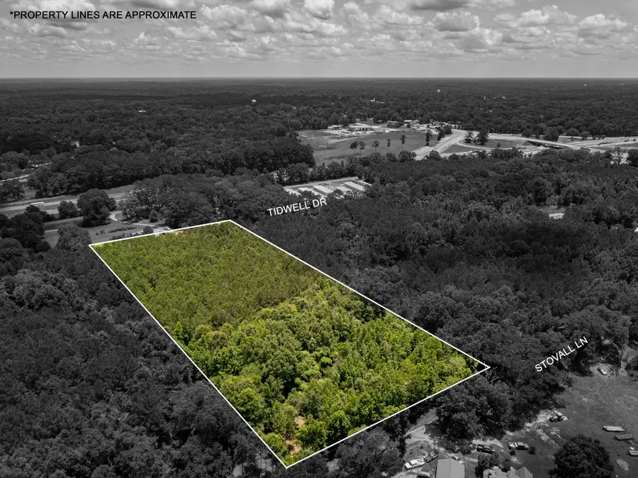Parcel 3 Stovall Ln., Summit, MS 39666 - #3