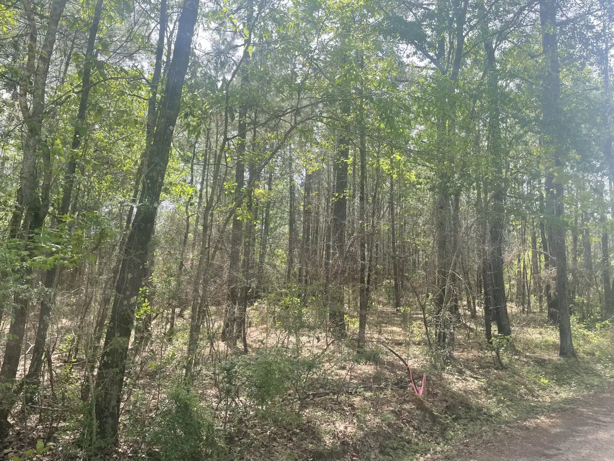 9.5 acres Debbie Brown Rd, Purvis, MS 39475 - #1