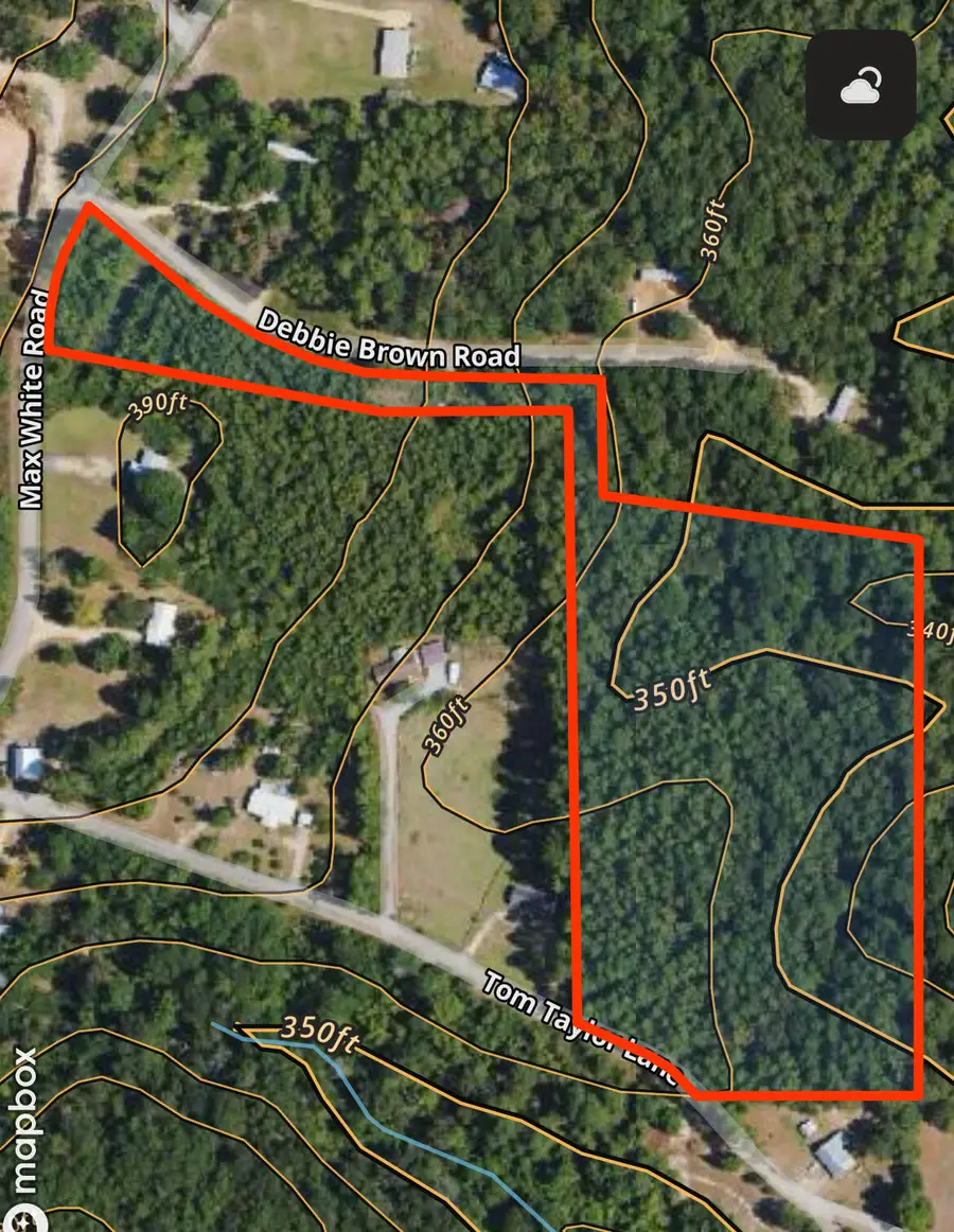 9.5 acres Debbie Brown Rd, Purvis, MS 39475 - #2