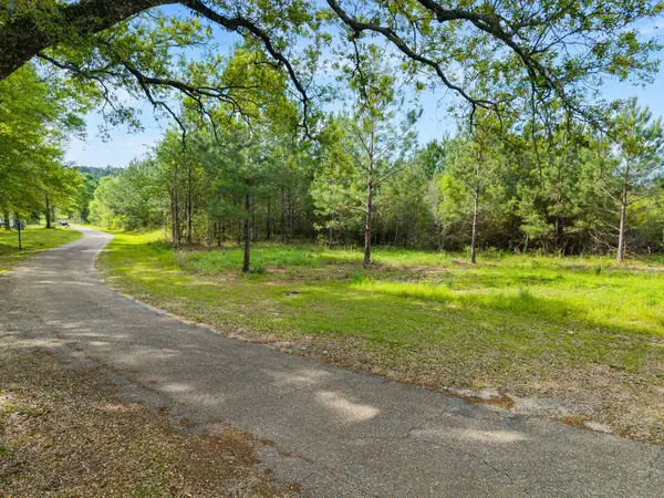 0 Horne Ln., Sumrall, MS 39482