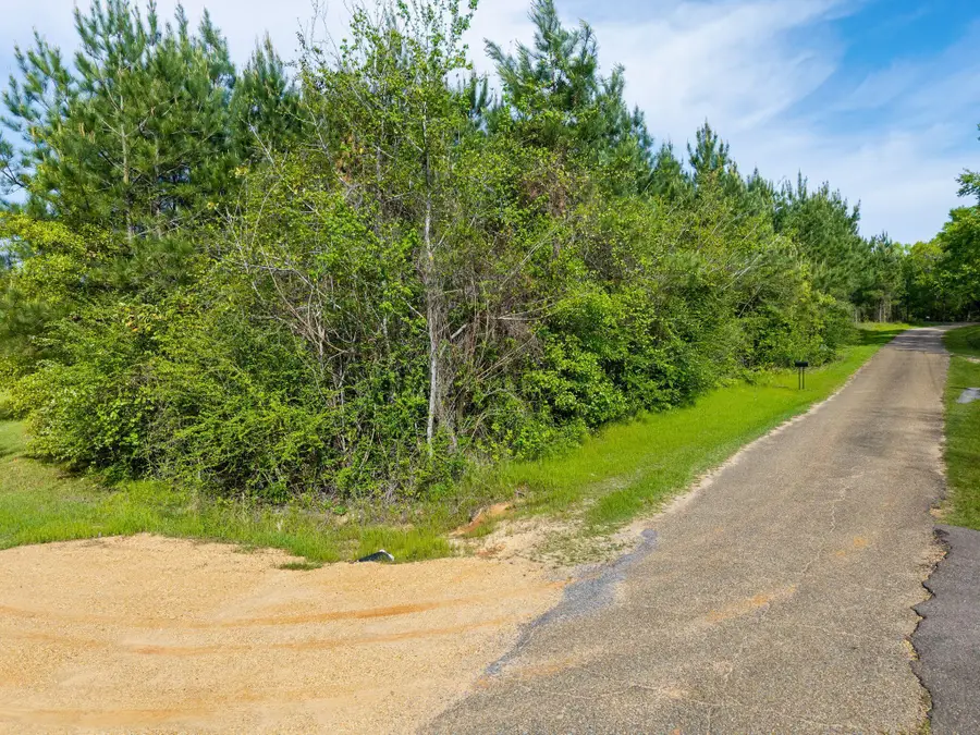 0 Horne Ln., Sumrall, MS 39482 - #3