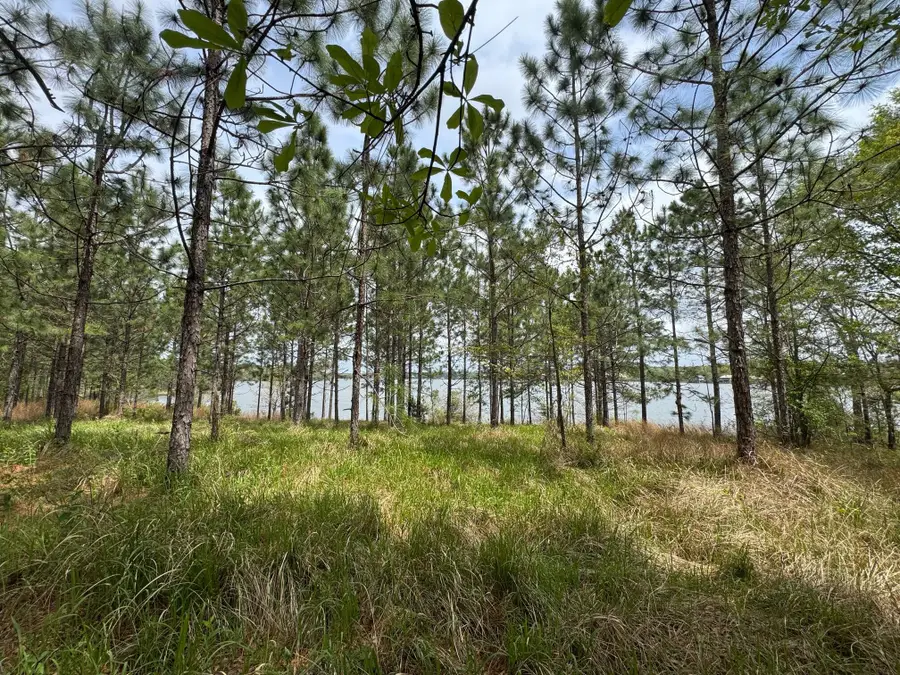 18 Red Wiggler Way, Lumberton, MS 39455 - #2